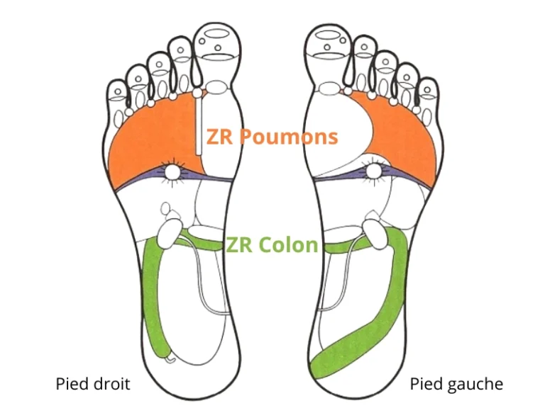 Reflexologie 768x576 1