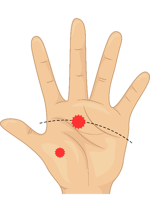 Réflexologie, Acupression et huiles essentielles au service des jeunes ! zone réflexe main gauche