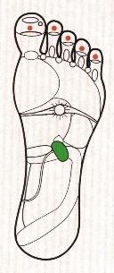 IBPsagn9xl544wxK1s2tKWAb9SOuKsK9Us9norwCIJehLXGde6t9znn7H Py9i2O4hXarBZJkUclHSbBKXzK UDp8VAl4 YcNBNcXxadrAHBCrE75ubxfEYQziFFLagxQLdZyBxV7PQ JJQrInGNMO4