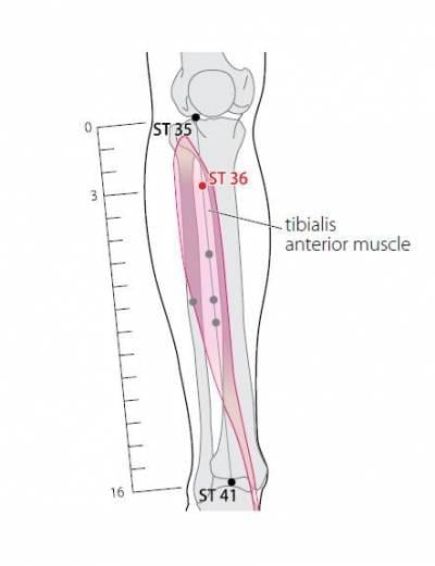 Acupression et Immunité NDNlzVAD4E P43h X3M3GUh WeSLB7eOLoRLH FBZ8ZB0 KHwdEgK9bp VT8wjcoJgQP1oTjx1CEdJOoOwMkX55CvF34VbGYlIoe5racz1qQRzmt2j3 GarJPHKb6dYXLYk1jGskBHUqGG4hFQvOfj4