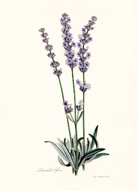 NPtomz7IQOyFZH1tdCXJbfSppxmN6hDIF A PkBCx2RTDzI1r JnZR SUOtO9cw4m2FKuoN EBMuSeSgn9VSa7Fq6JpXgSutuzU0Qs 1qYlNwGbcshnXAIcll3GACkhGAloJa5K ATGQD1 TRvI8JYE