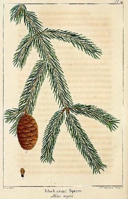 Le geste Aroma de l’Automne AL8RexJZZ1Fs XyPZKeZlLYyF8JM7HRXMsvZZBaJF1p54IoI2H8DMNE6WC9zLAlGwlXK4IFzrYeIK59zJ5n4H4cD1ZikEUOTzKSj0n3 Y Py2gxjNk3G8vMRuj OP8C069BN1ET21LdcYgEvFa3G2Go