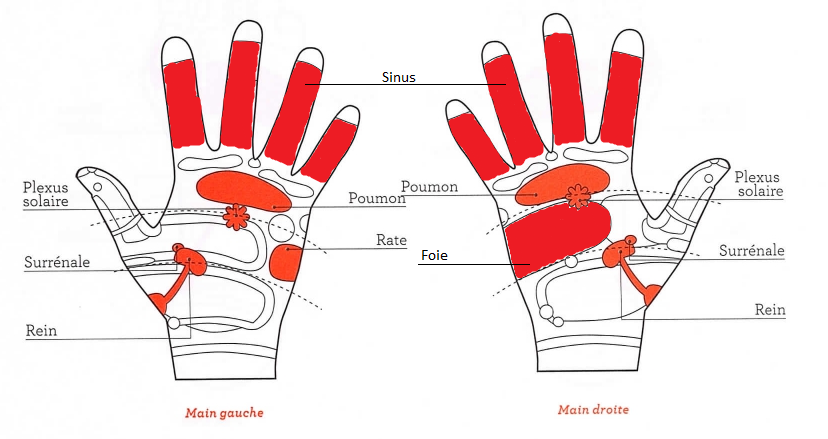 IH1qElQ32I5MlNFZbXY ZLQgvoe9vHqMXqYYkE8 AL91zy3tEd1nDTE Yxl9jj3WVJLDXzlnyCZihT335hxZTEiWq6L KnEXWe Dug6UyNffNnSLPYDenN9WYrZSt W ZYzVmSDCIEzWdbXZA7e2A8