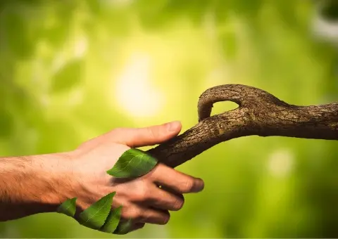 Approches Naturelles Image Naturelles 5