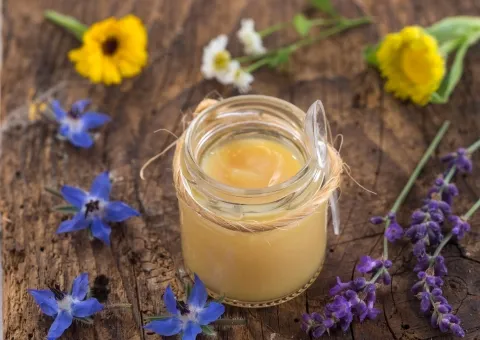 Apithérapie ApiTherapie 3