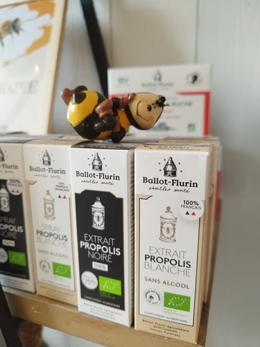 Apithérapie Apitherapie En Pratique