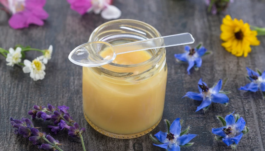 Apithérapie approche naturelle gelee royale