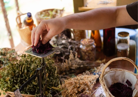 Herboristerie herboristerie plante